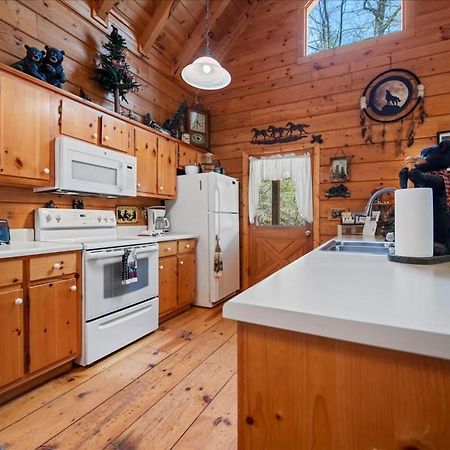 Cozy Cabin Beside Briar Creek, Fire Pit, Wifi Βίλα Ellijay Εξωτερικό φωτογραφία