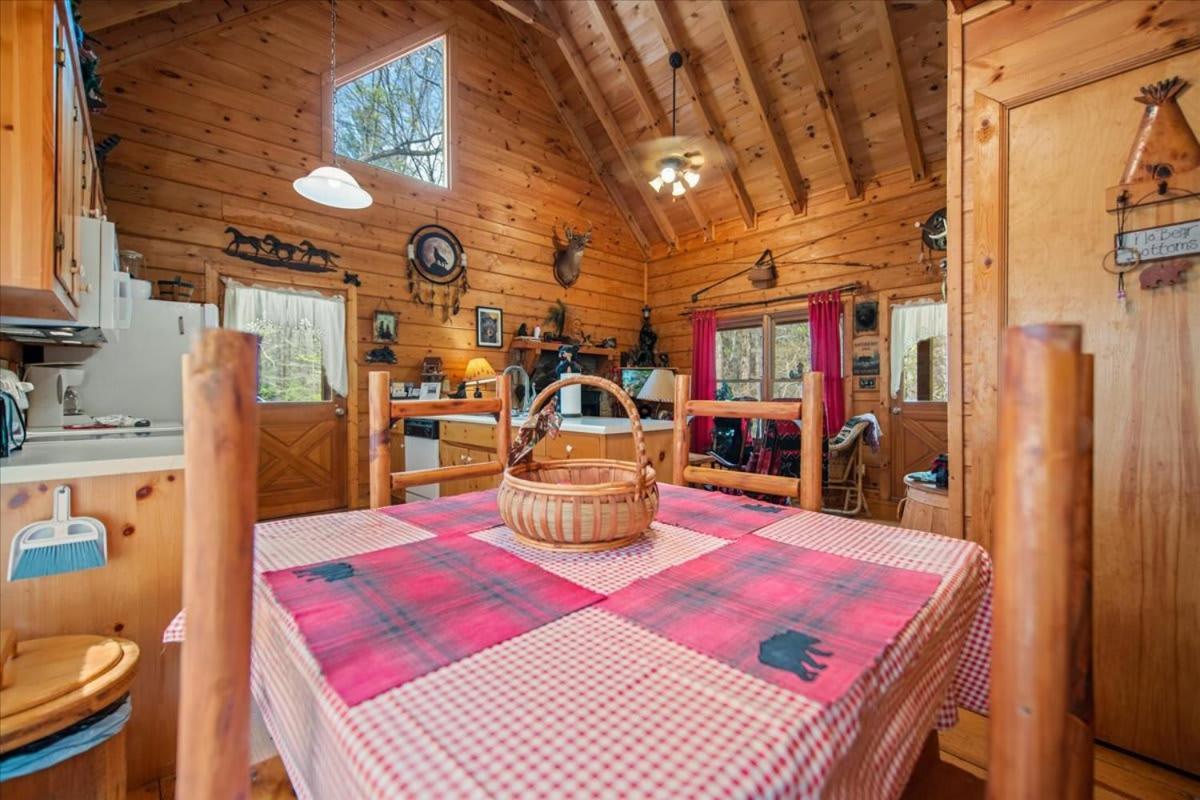 Cozy Cabin Beside Briar Creek, Fire Pit, Wifi Βίλα Ellijay Εξωτερικό φωτογραφία