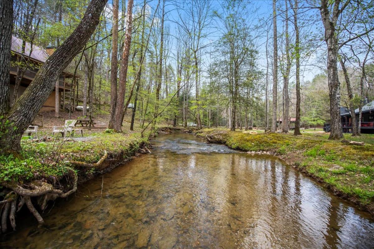 Cozy Cabin Beside Briar Creek, Fire Pit, Wifi Βίλα Ellijay Εξωτερικό φωτογραφία
