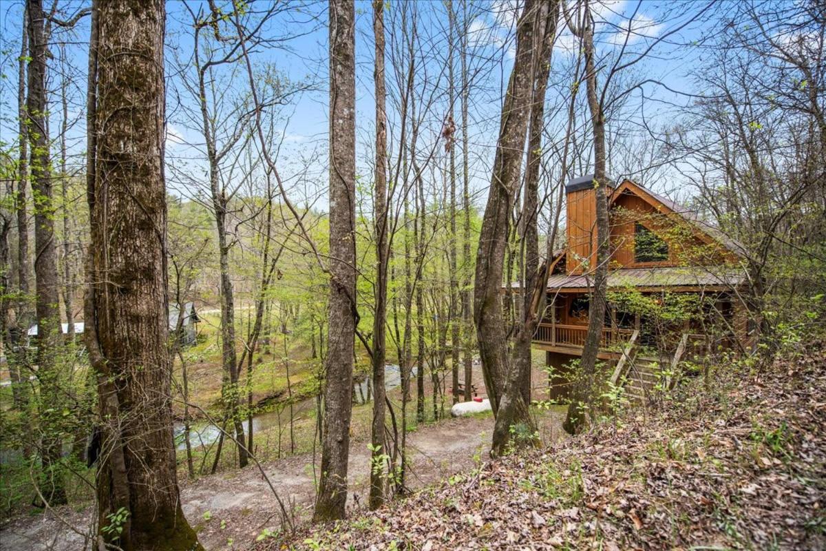 Cozy Cabin Beside Briar Creek, Fire Pit, Wifi Βίλα Ellijay Εξωτερικό φωτογραφία